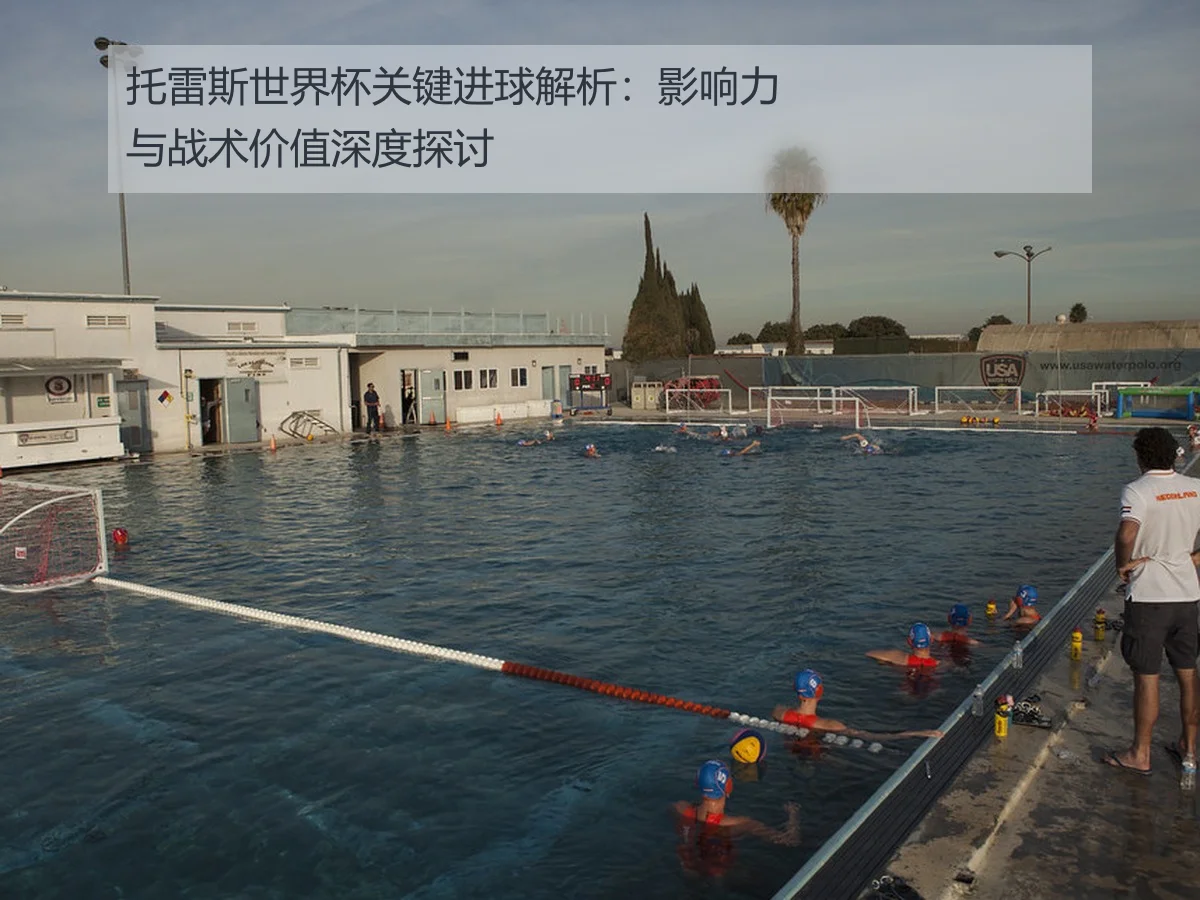 托雷斯世界杯关键进球解析：影响力与战术价值深度探讨